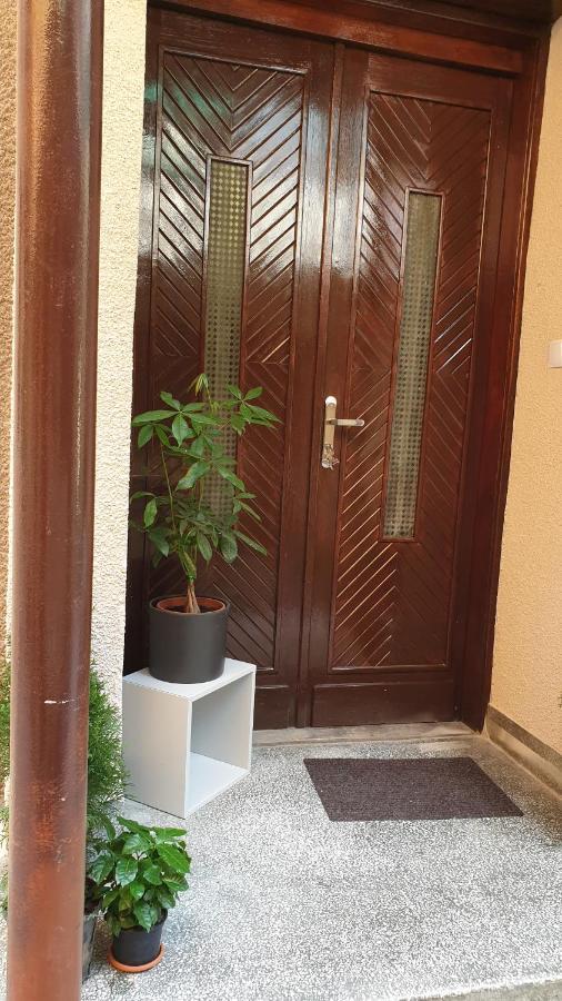 伯伊莱海尔库拉内Casa Arion公寓 外观 照片