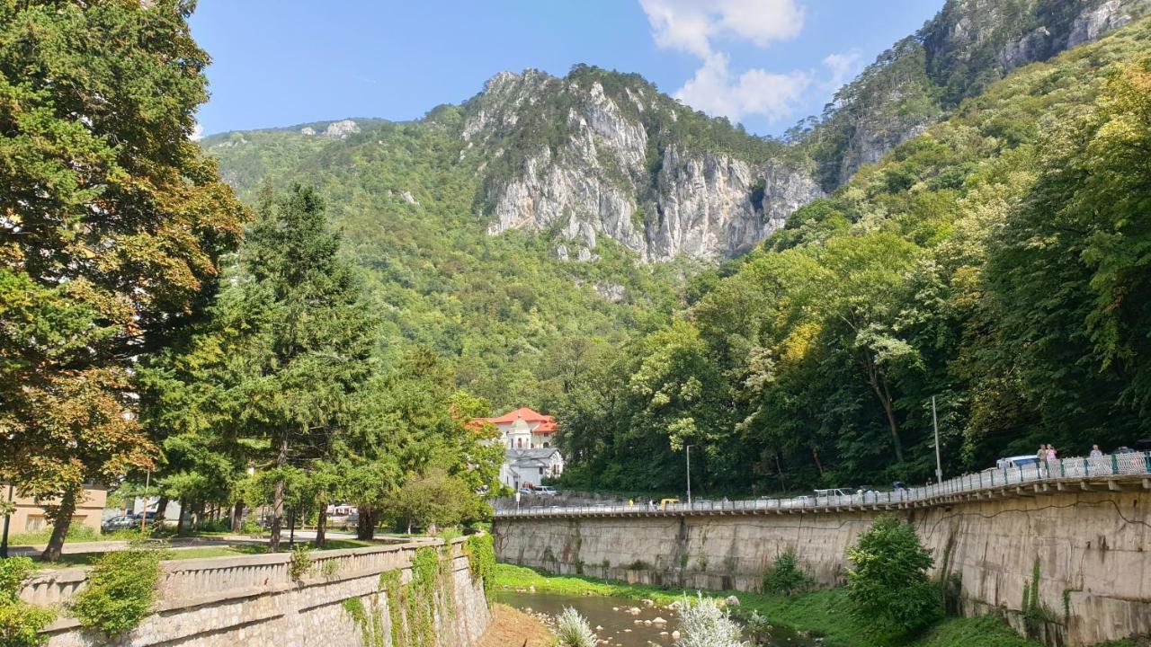 伯伊莱海尔库拉内Casa Arion公寓 外观 照片