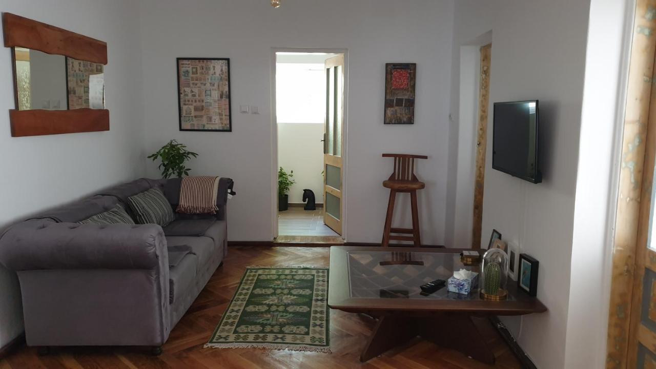 伯伊莱海尔库拉内Casa Arion公寓 外观 照片